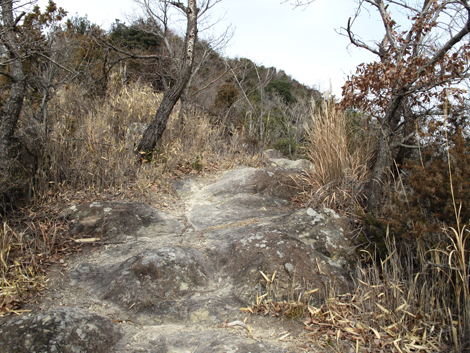 20140125hike (86)
